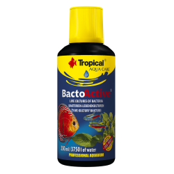 Bacto-Active 250ml