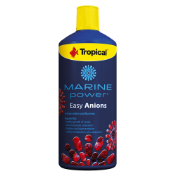 Easy Anions 500 ml