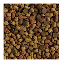 Tropfit Ferret 400g 2