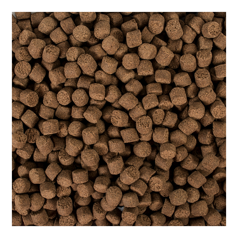 Sterlet Basic size L 20kg