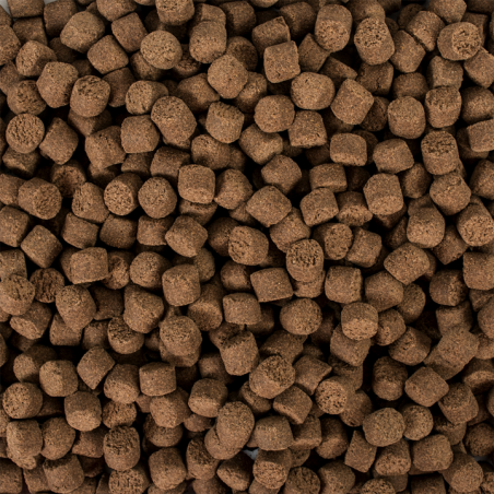 Sterlet Basic size L 20kg