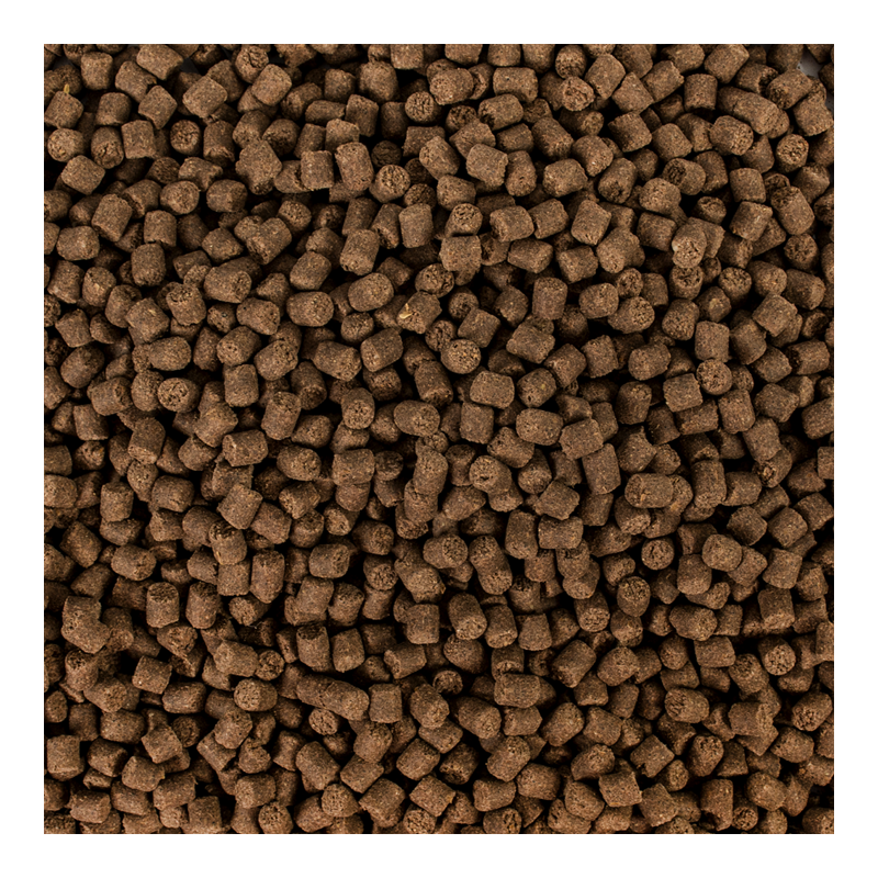 Sterlet Basic size M 3l / 1500g