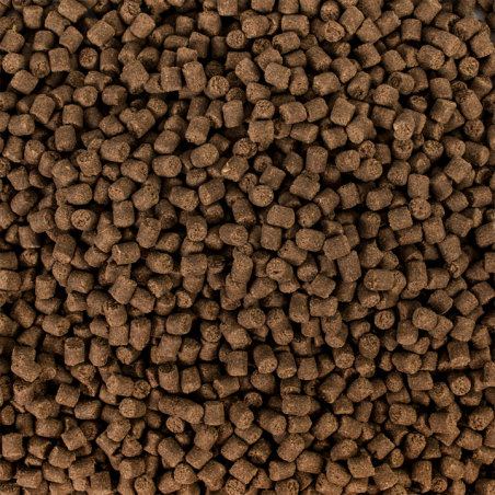 Sterlet Basic size M 3l / 1500g