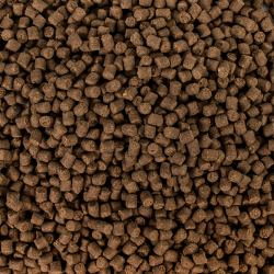 Sterlet Basic size M 20kg 2