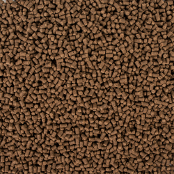 Sterlet Basic size S 20kg 2