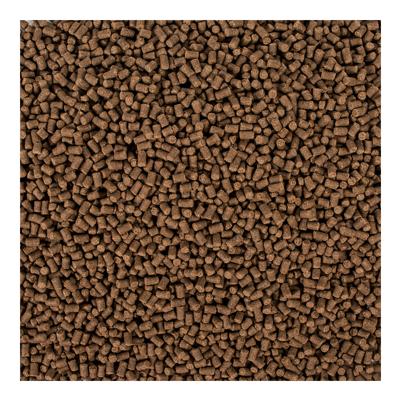 Sterlet Basic size S 20kg