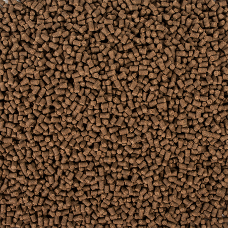 Sterlet Basic size S 3l / 1500g