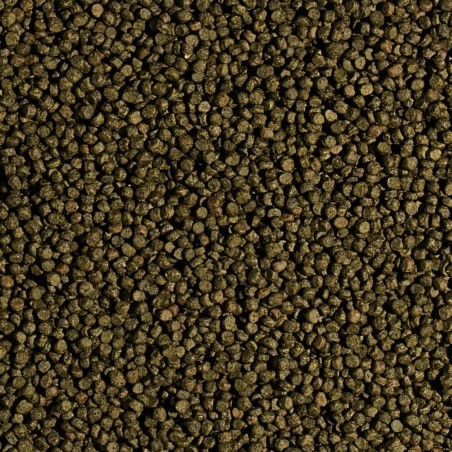 Koi Spirulina Pellet Size S 7kg