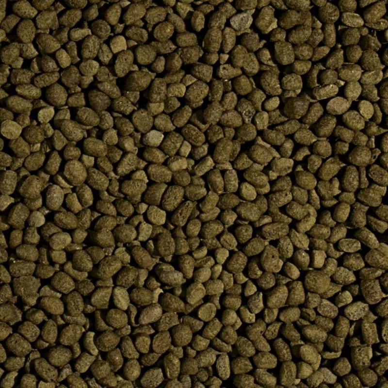 Koi Spirulina Pellet Size M 1000ml/320g