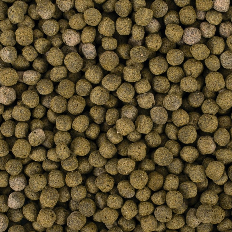 Koi Spirulina Pellet Size L 5l/1,5kg