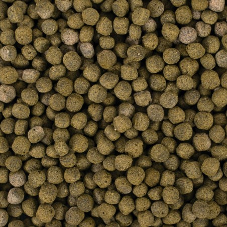 Koi Spirulina Pellet Size L 7kg