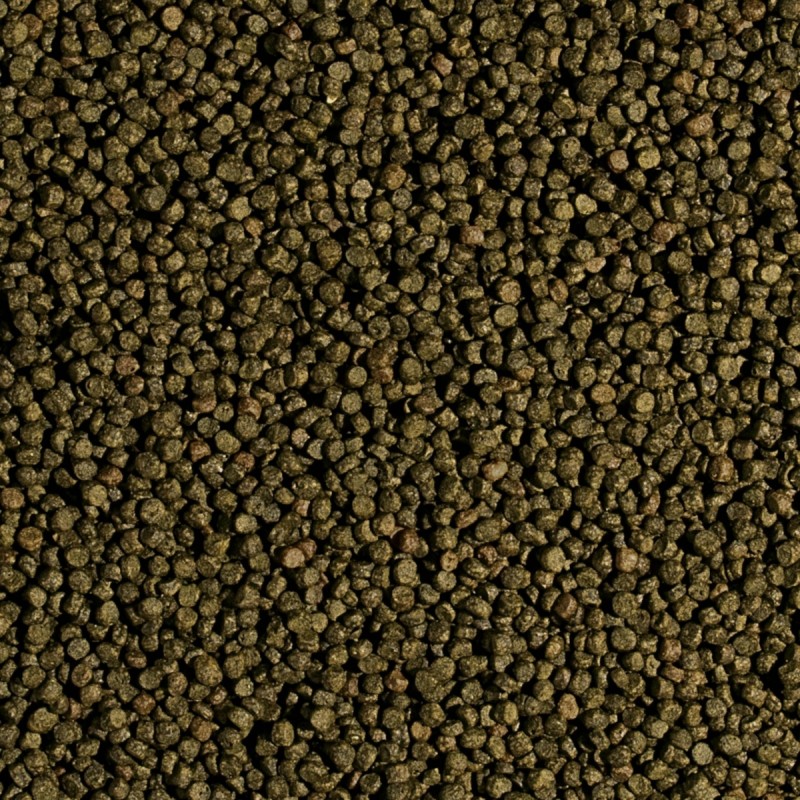 Koi Wheat Germ&Garlic Pellet Size S  5l/1,5kg