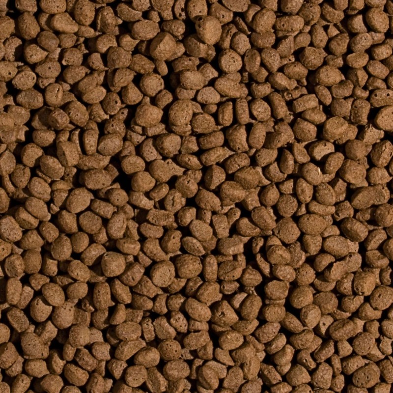 Koi Wheat Germ&Garlic Pellet Size M 1000ml/320g