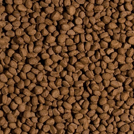 Koi Wheat Germ&Garlic Pellet Size M 1000ml/320g