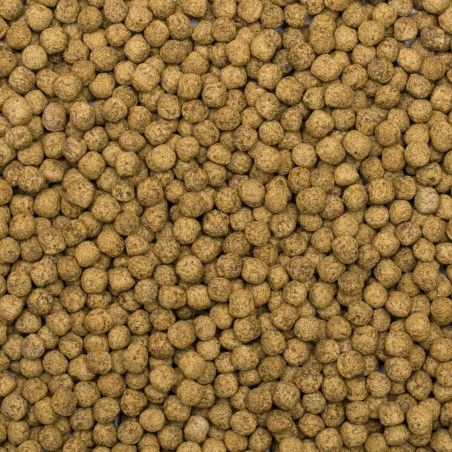 Koi Silkworm&Astaxanthin Pellet Size M 7kg