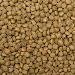 Koi Silkworm&Astaxanthin Pellet Size L 5l/1,5kg 2