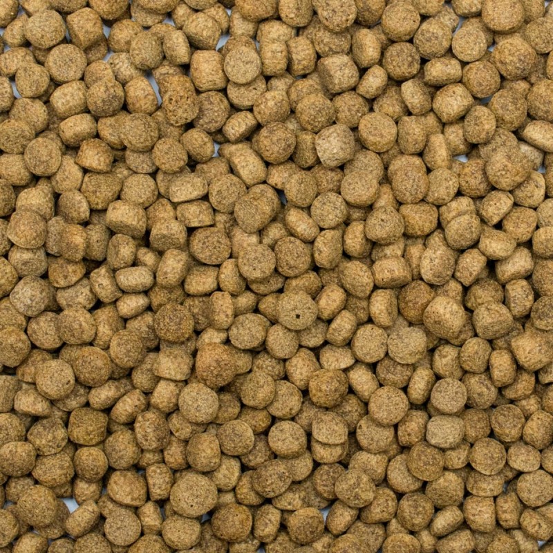 Koi Silkworm&Astaxanthin Pellet Size L 5l/1,5kg
