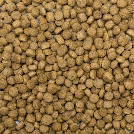 Koi Silkworm&Astaxanthin Pellet Size L 5l/1,5kg