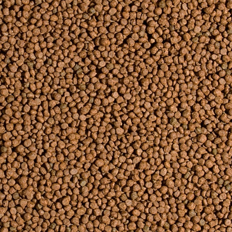 Koi Probiotic Pellet Size S  5l/1,5kg