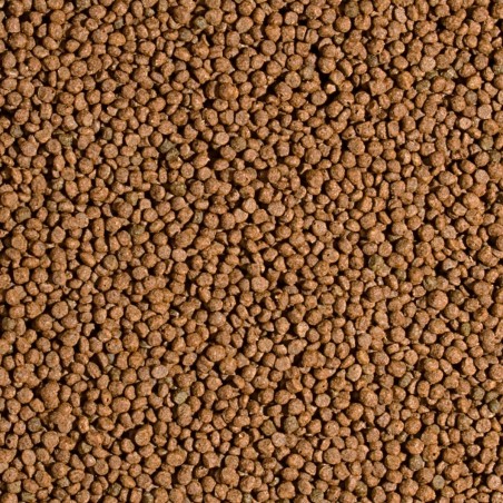 Koi Probiotic Pellet Size S  5l/1,5kg