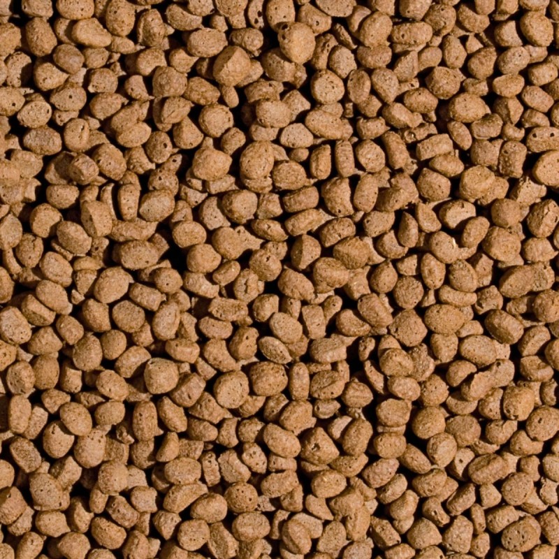 Koi Probiotic Pellet Size M 5l/1,5kg