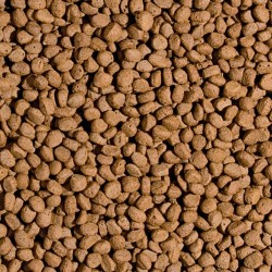 Koi Probiotic Pellet Size M 1000ml/320g 2
