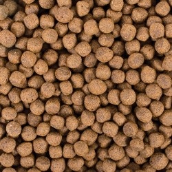 Koi Probiotic Pellet Size L 5l/1,5kg 2