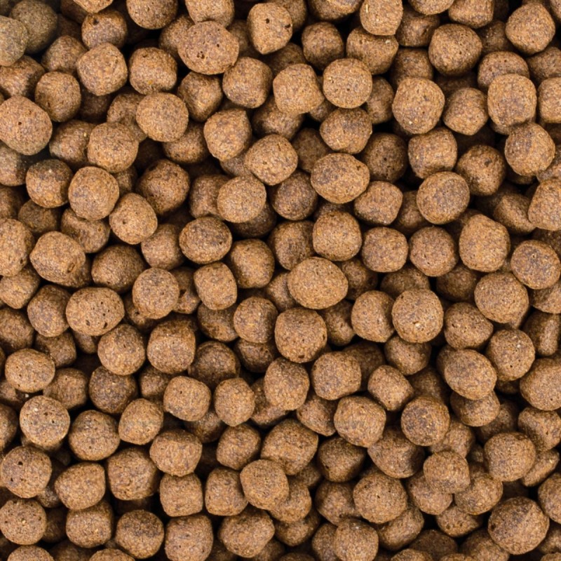Koi Probiotic Pellet Size L 5l/1,5kg