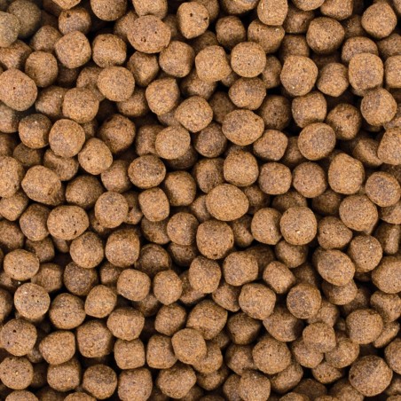 Koi Probiotic Pellet Size L 5l/1,5kg