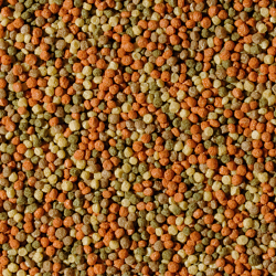 Pond Pellet Mix Size M 5l / 550g 2