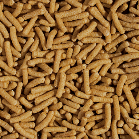 Koi&Goldfish Wheat Germ&Garlic Sticks 50l / 4kg