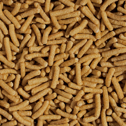 Koi&Goldfish Wheat Germ&Garlic Sticks 5l / 430g 2