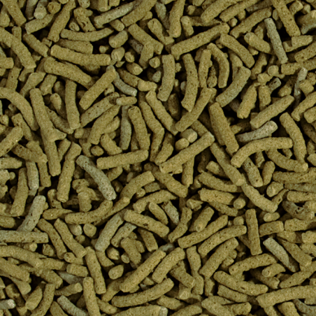 Koi&Goldfish Spirulina Sticks 21l / 1600g