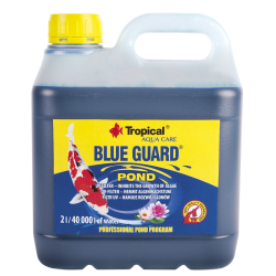 Blue Guard Pond2l